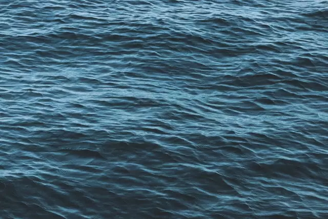 Featured image of post Logs