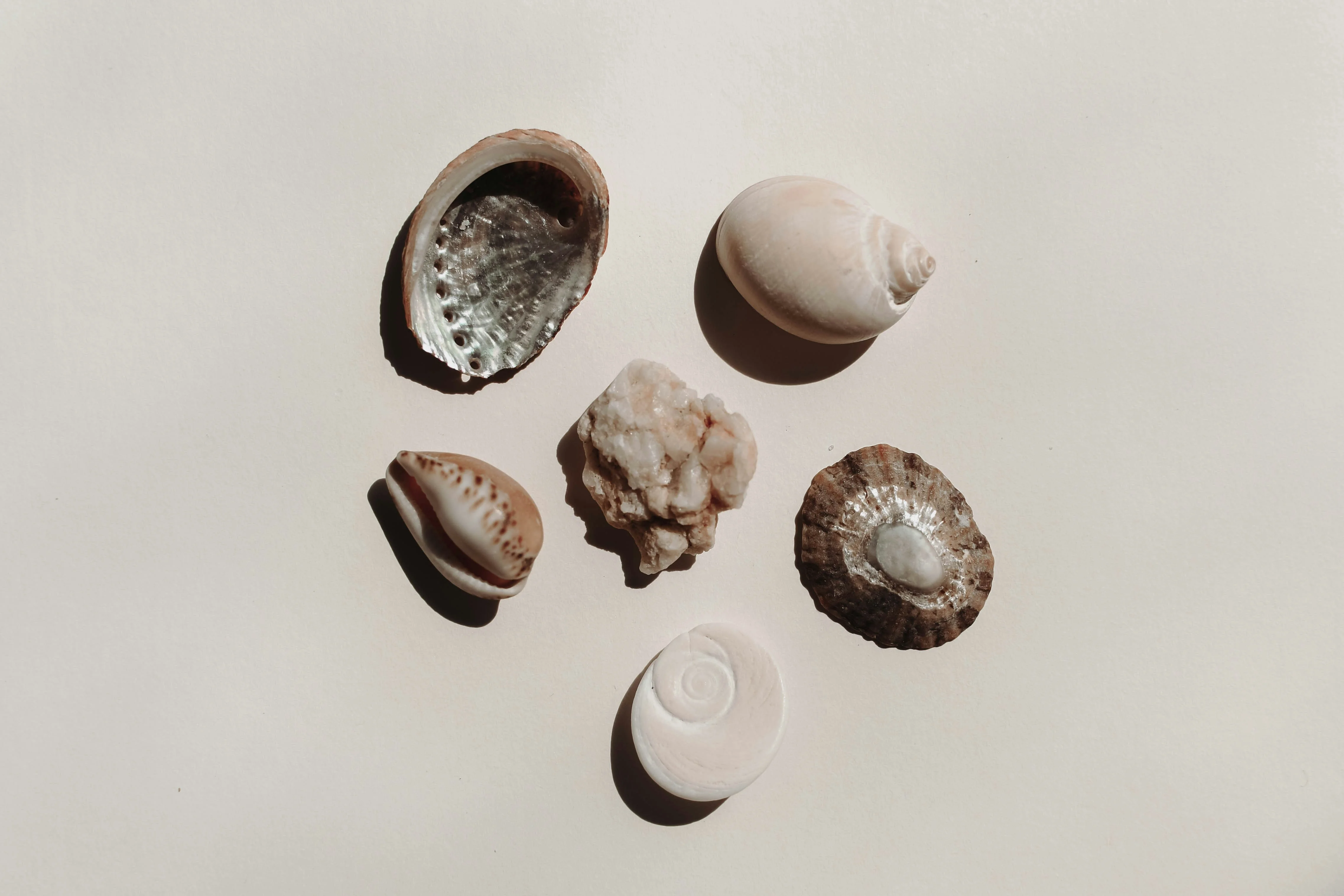 Featured image of post 机器学习 20 kNN